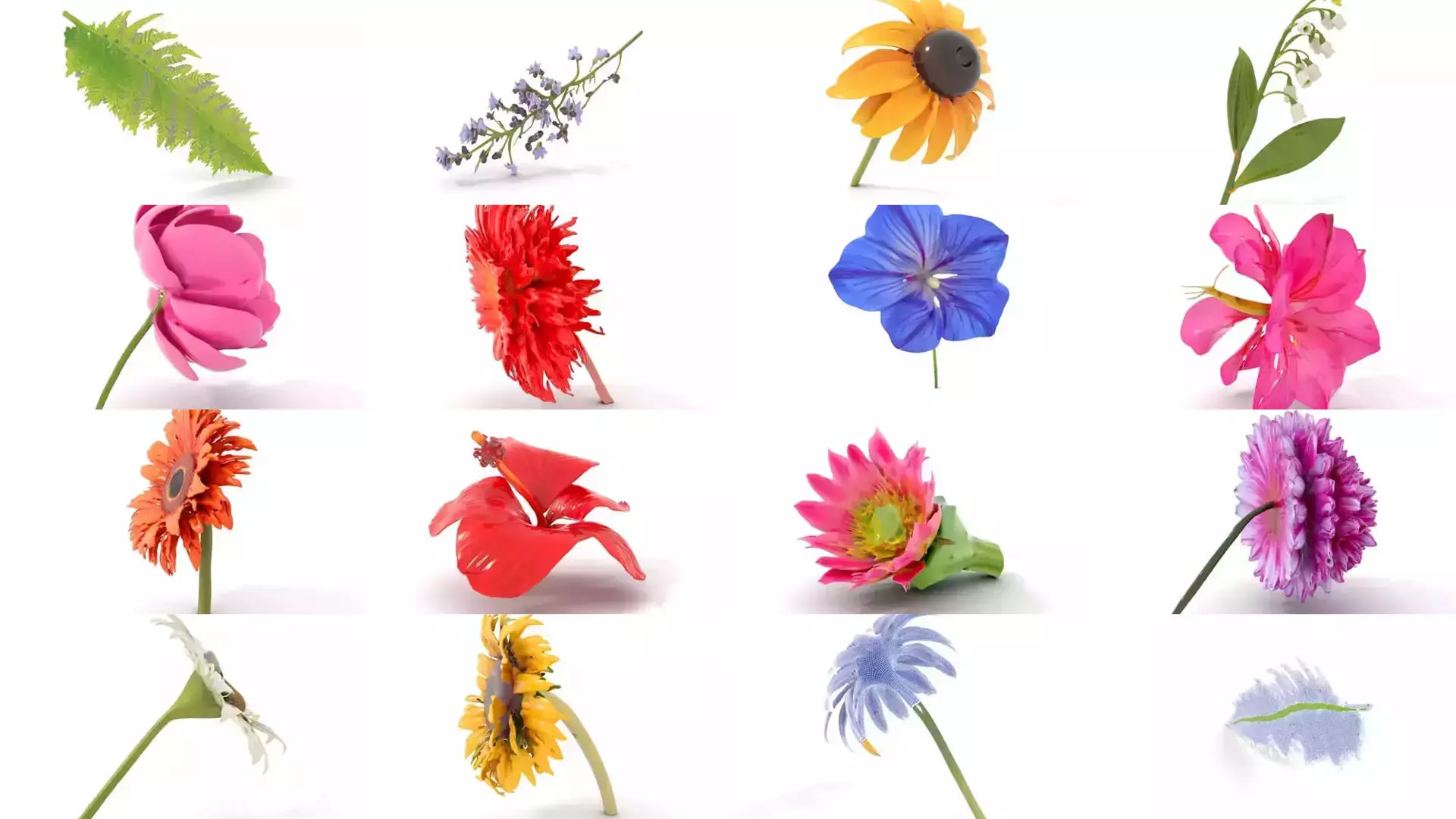 Exquisite Floral SideViews 3D Model Collection_48