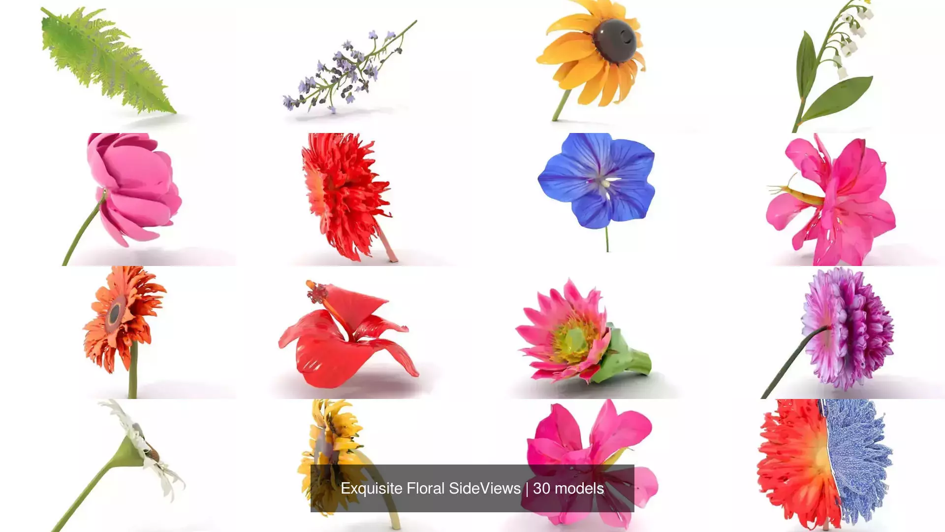 Exquisite Floral SideViews 3D Model Collection_49