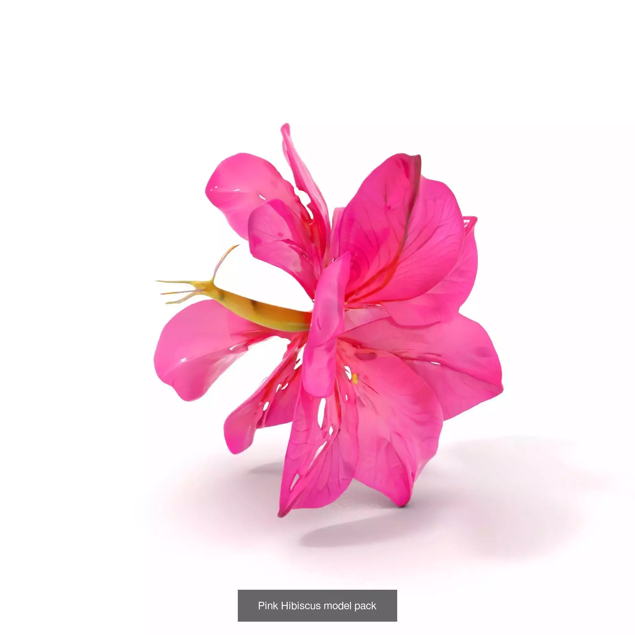 Exquisite Floral SideViews 3D Model Collection_73