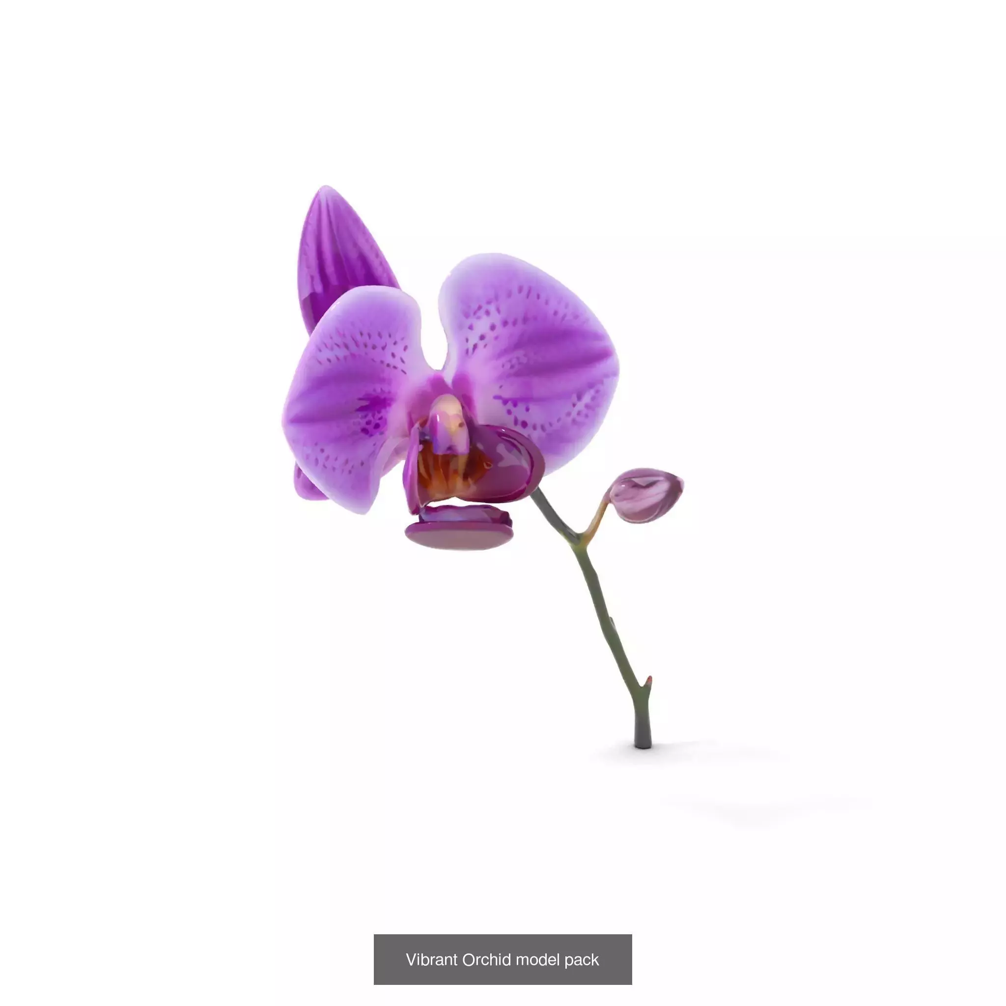 Exquisite Floral SideViews 3D Model Collection_55