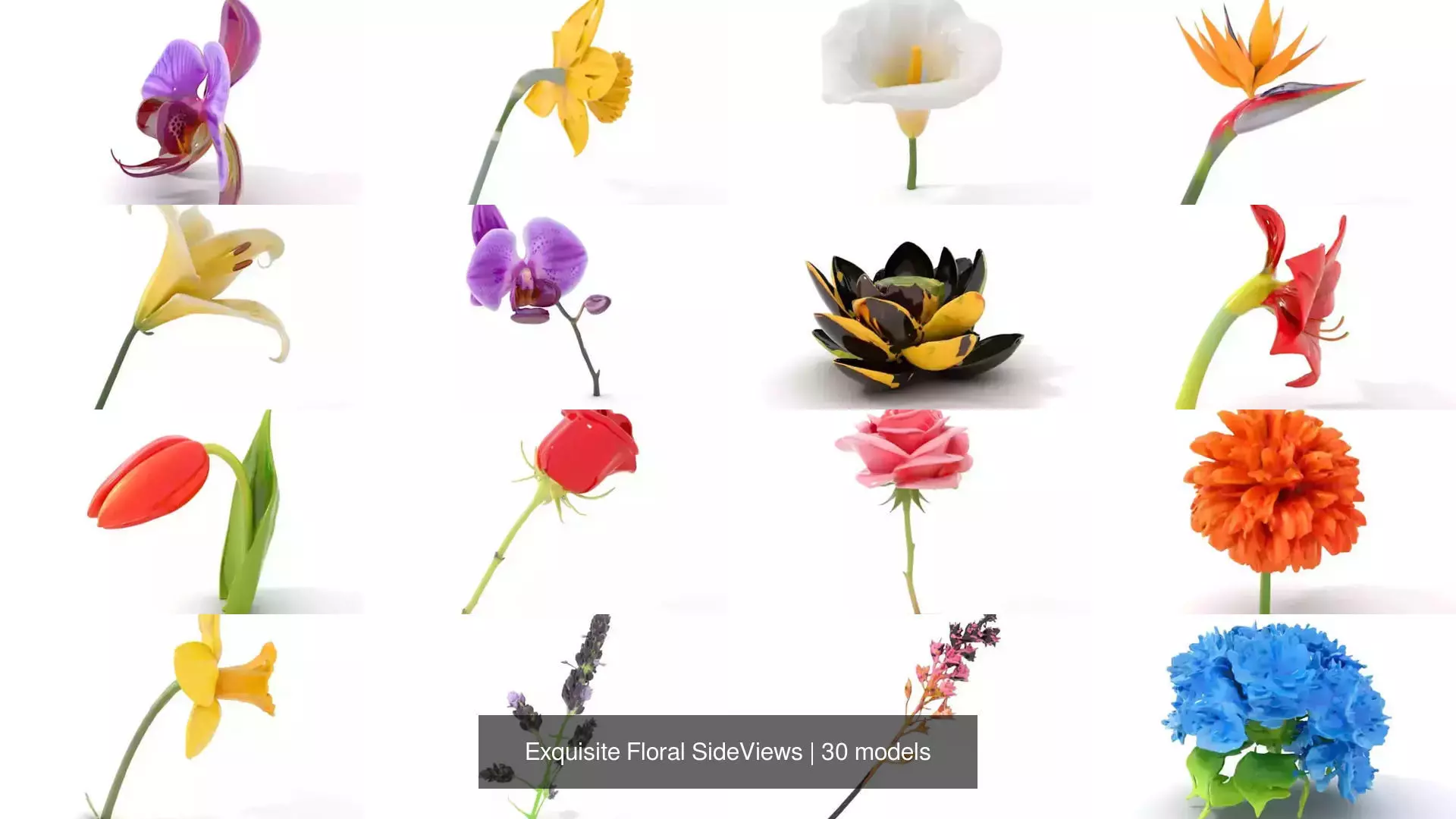 Exquisite Floral SideViews 3D Model Collection_0