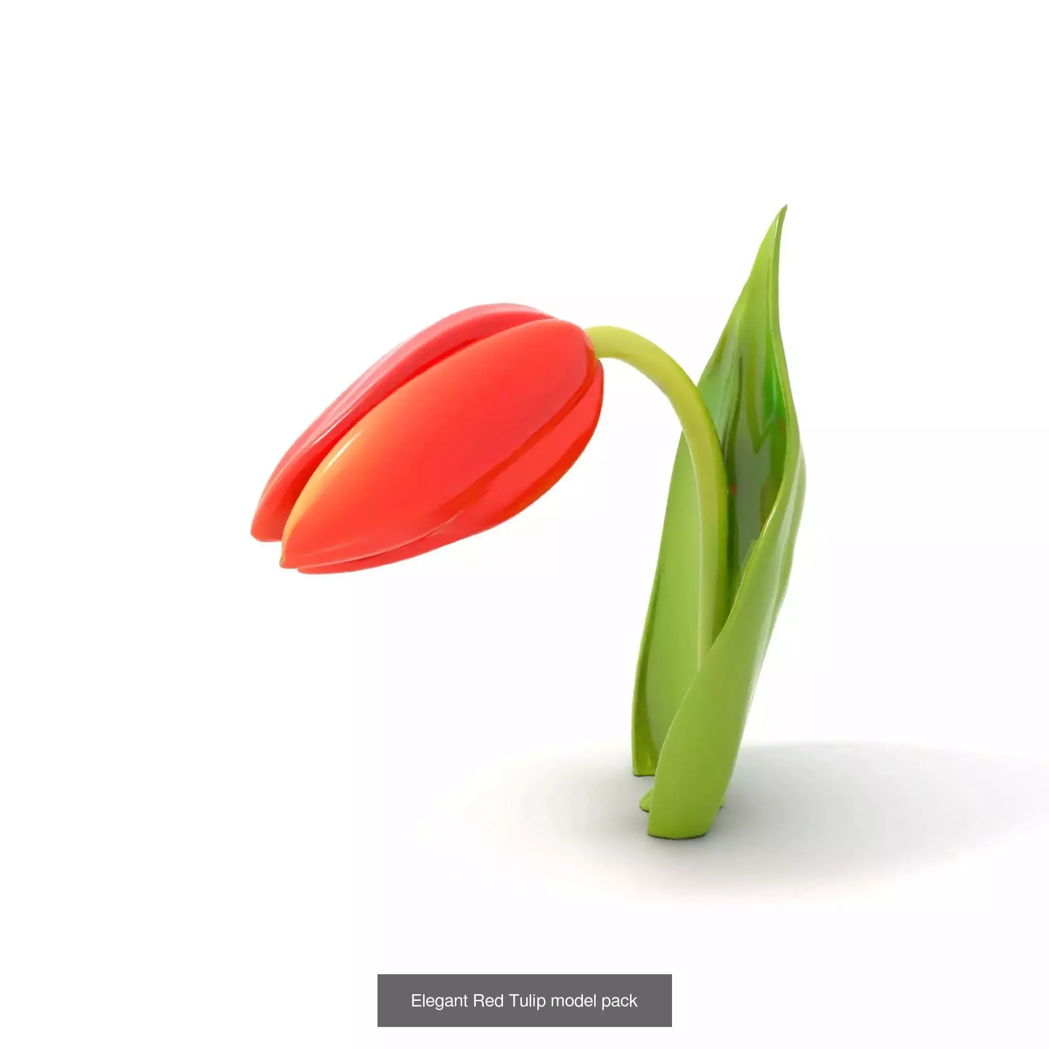 Exquisite Floral SideViews 3D Model Collection_58