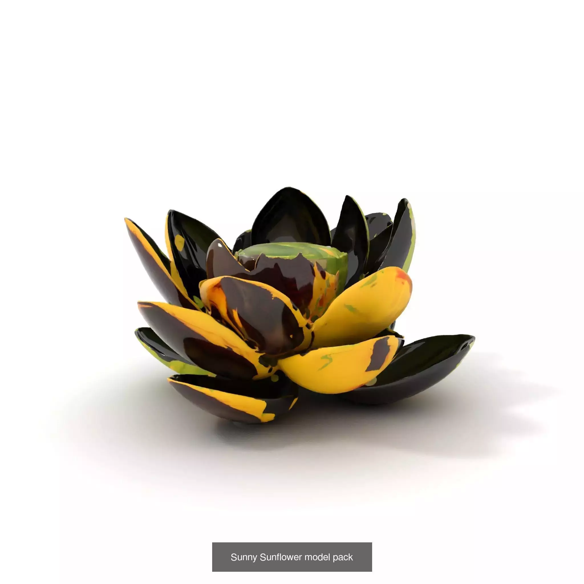 Exquisite Floral SideViews 3D Model Collection_56