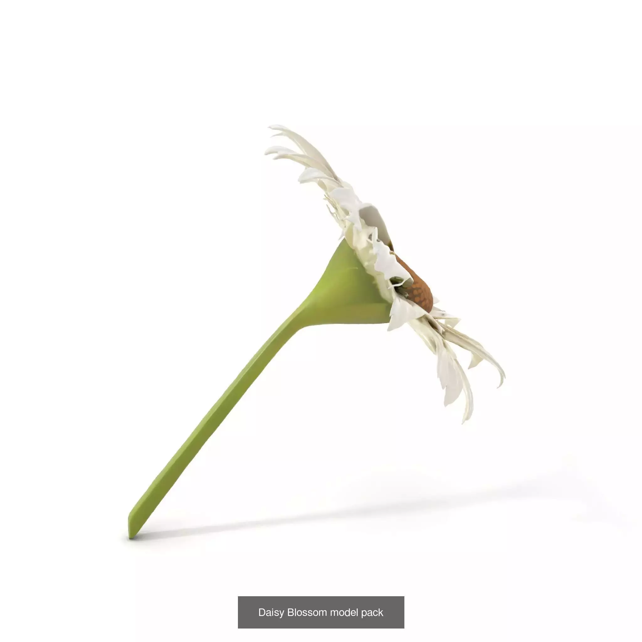 Exquisite Floral SideViews 3D Model Collection_78