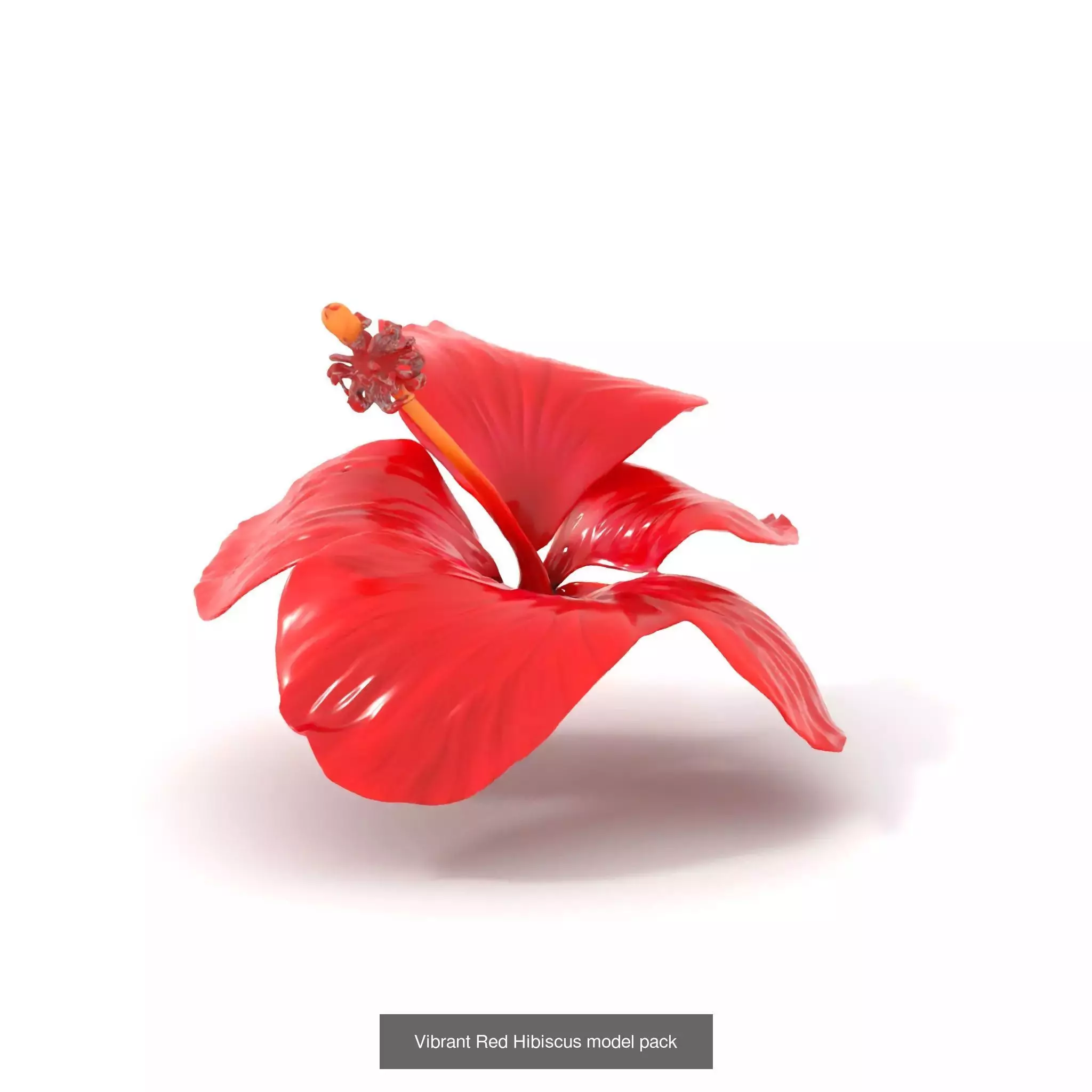 Exquisite Floral SideViews 3D Model Collection_75