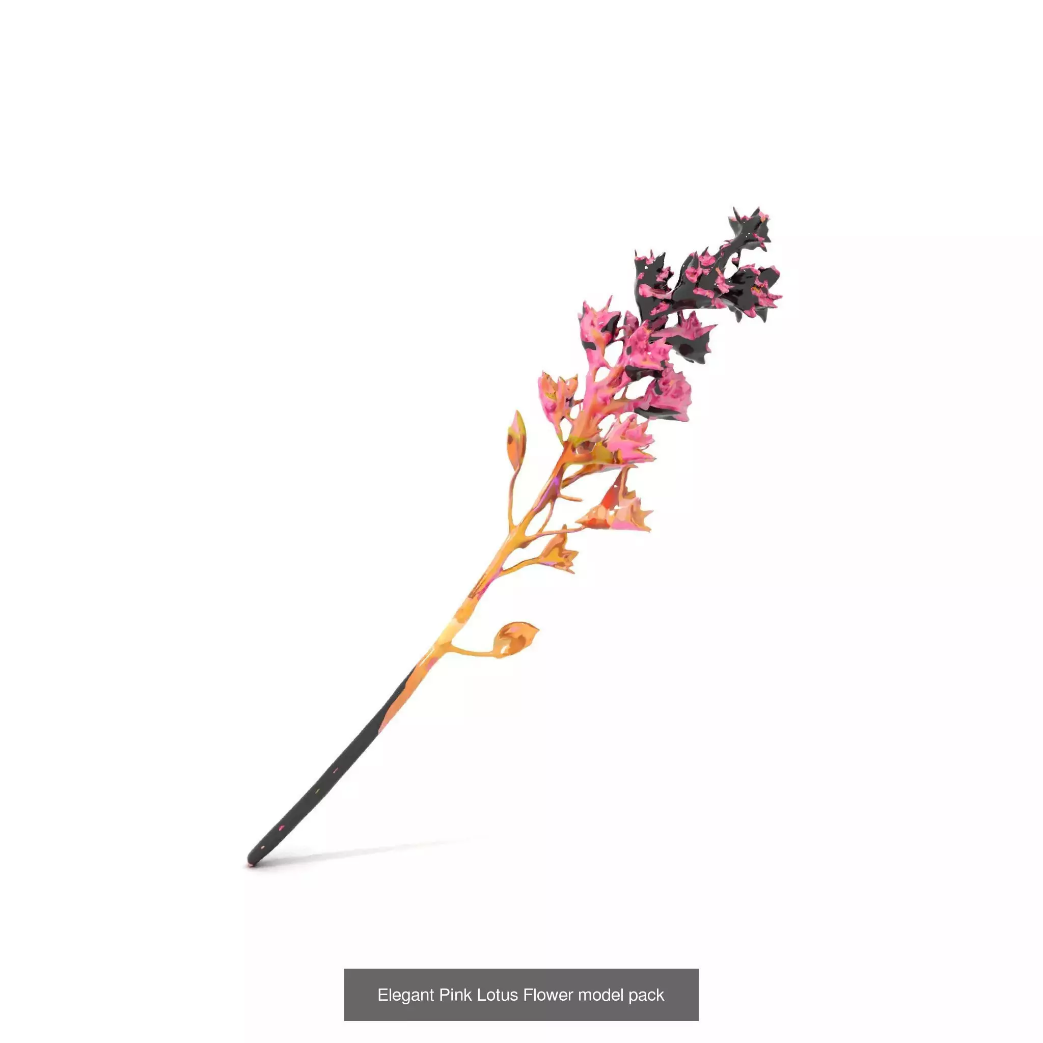 Exquisite Floral SideViews 3D Model Collection_64