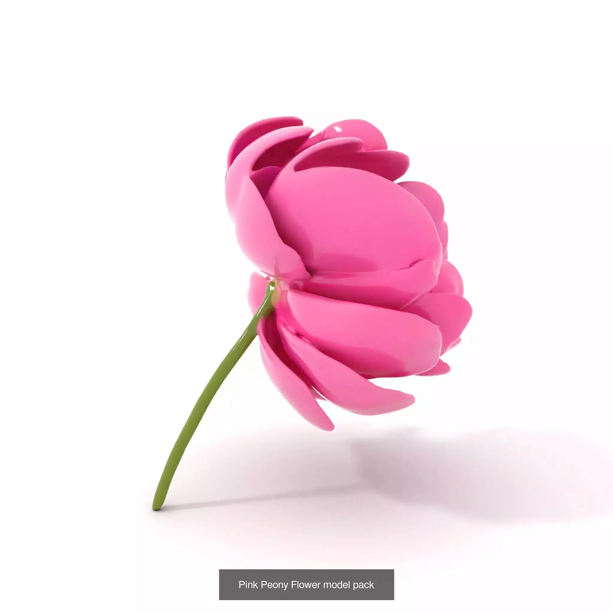 Exquisite Floral SideViews 3D Model Collection_70