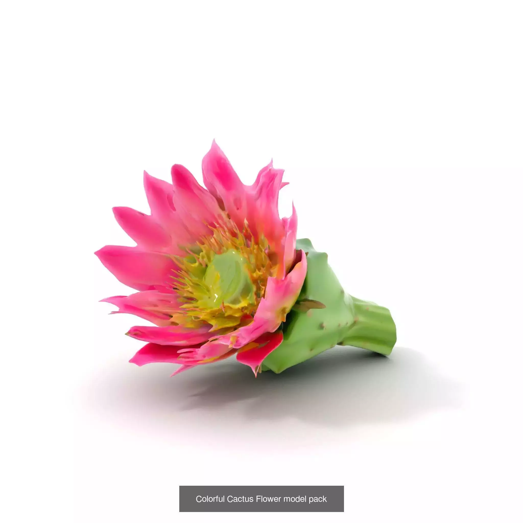 Exquisite Floral SideViews 3D Model Collection_76