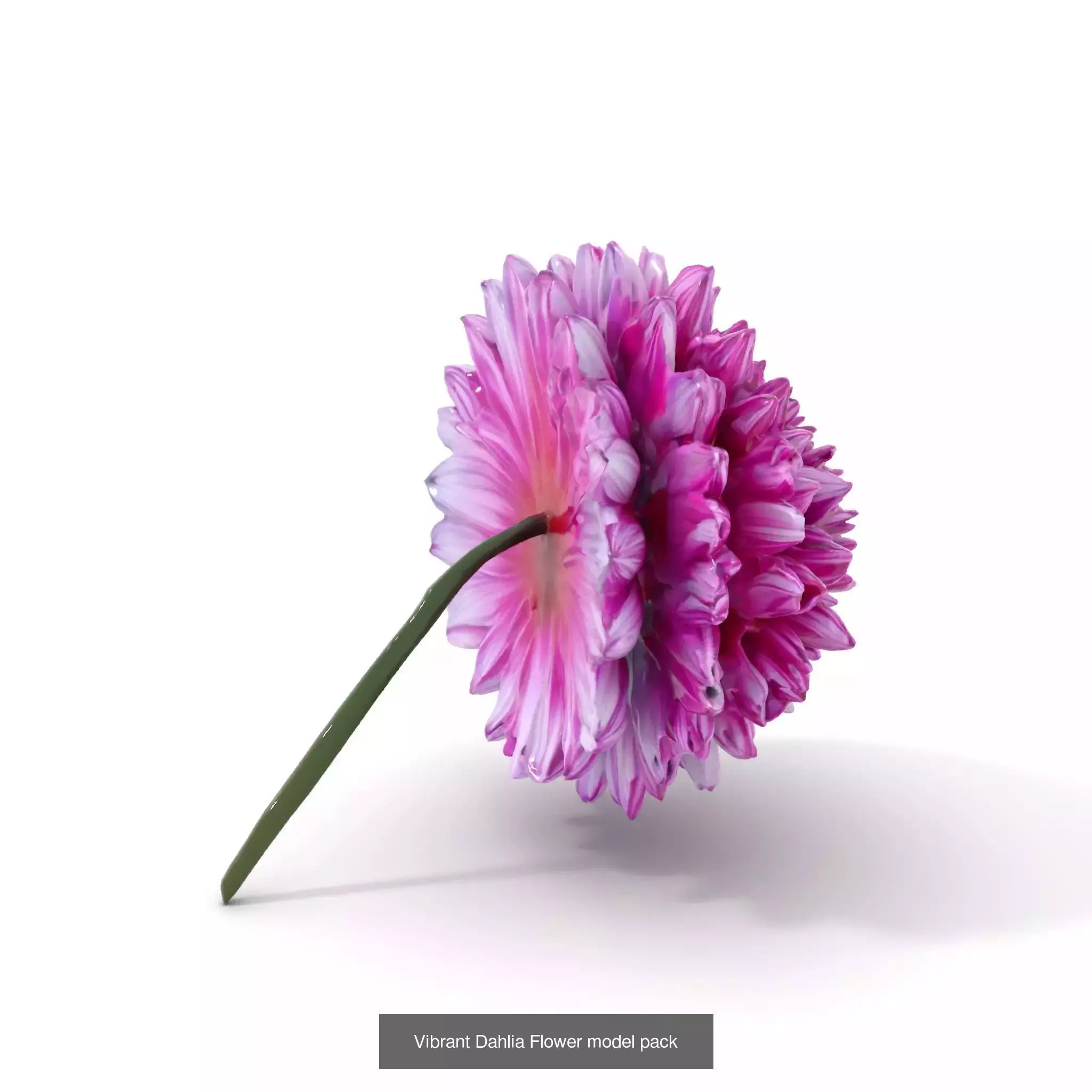 Exquisite Floral SideViews 3D Model Collection_77
