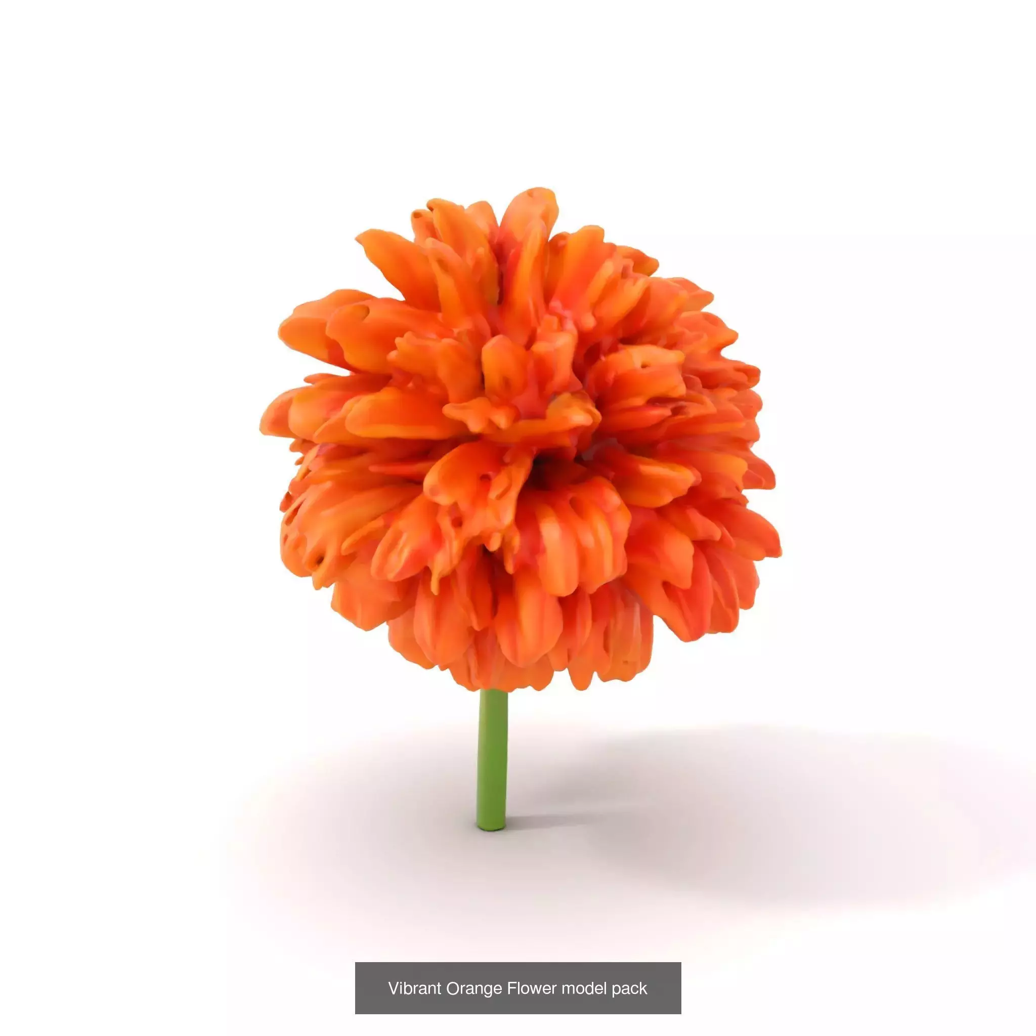 Exquisite Floral SideViews 3D Model Collection_61