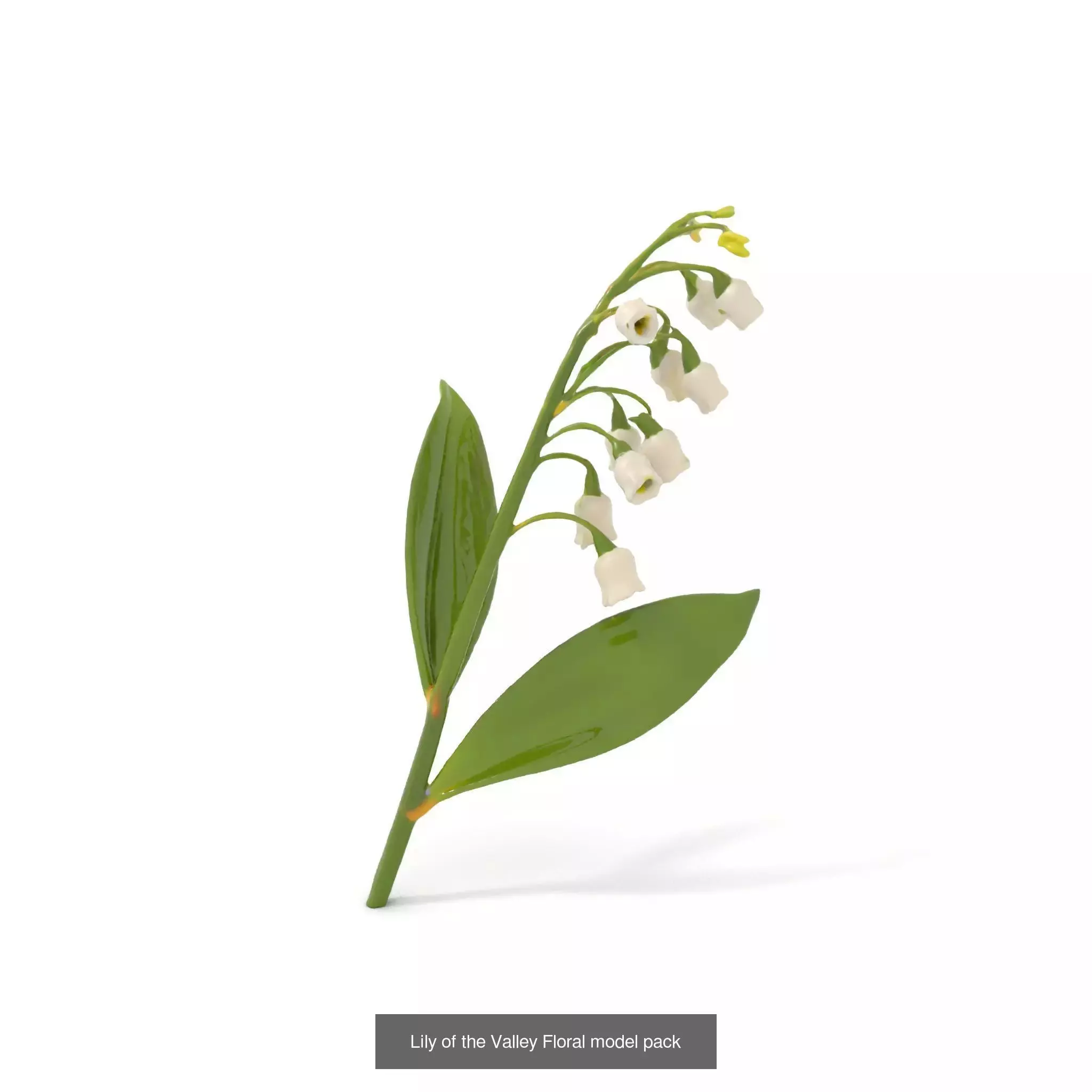 Exquisite Floral SideViews 3D Model Collection_69