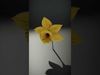 Exquisite Floral SideViews 3D Model Collection_4
