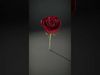 Exquisite Floral SideViews 3D Model Collection_20