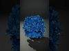 Exquisite Floral SideViews 3D Model Collection_32
