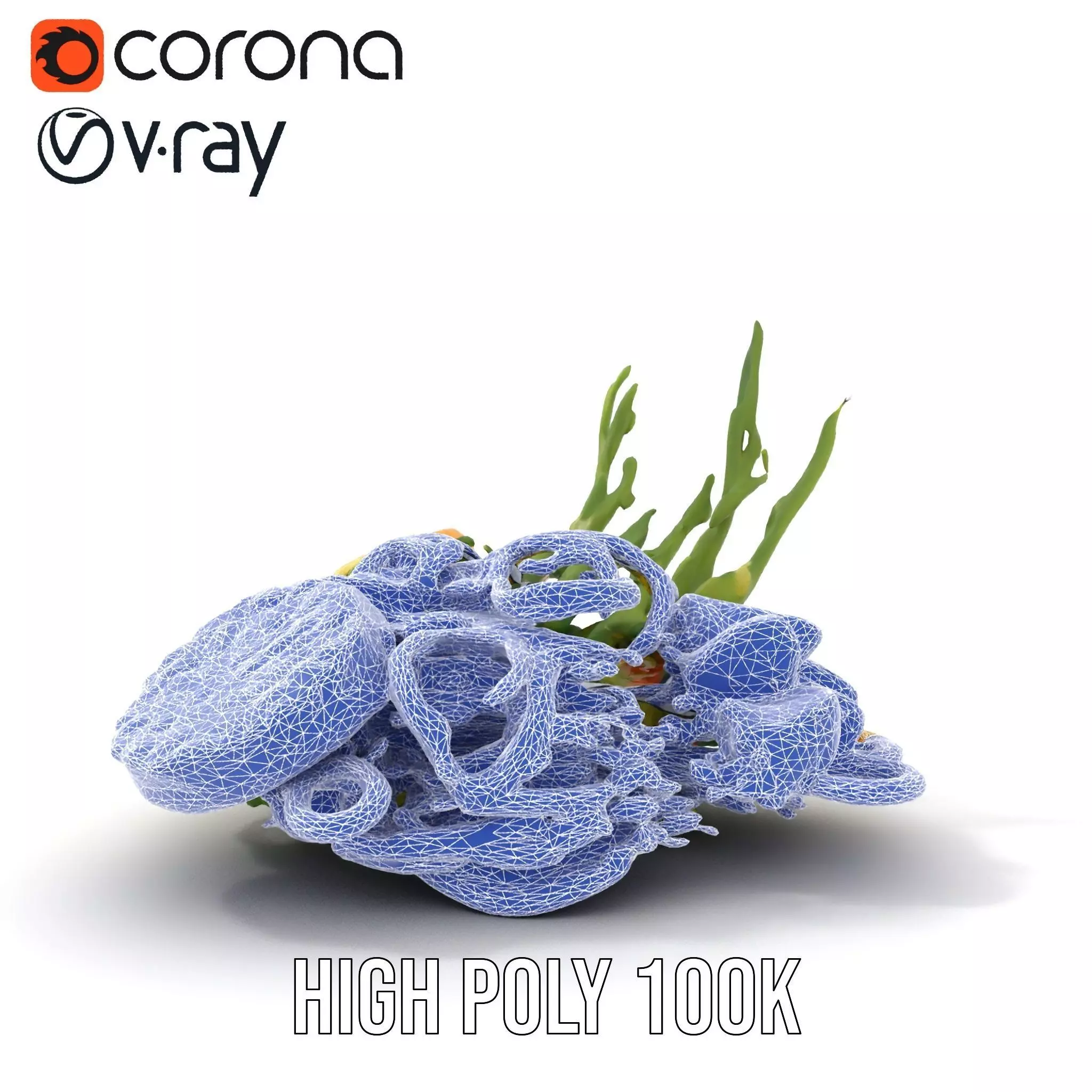 Citrus Salad Plate model pack Low-poly 3D model_33