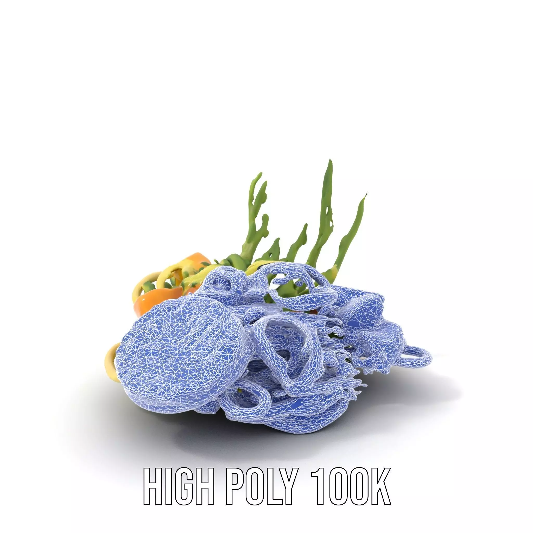 Citrus Salad Plate model pack Low-poly 3D model_4