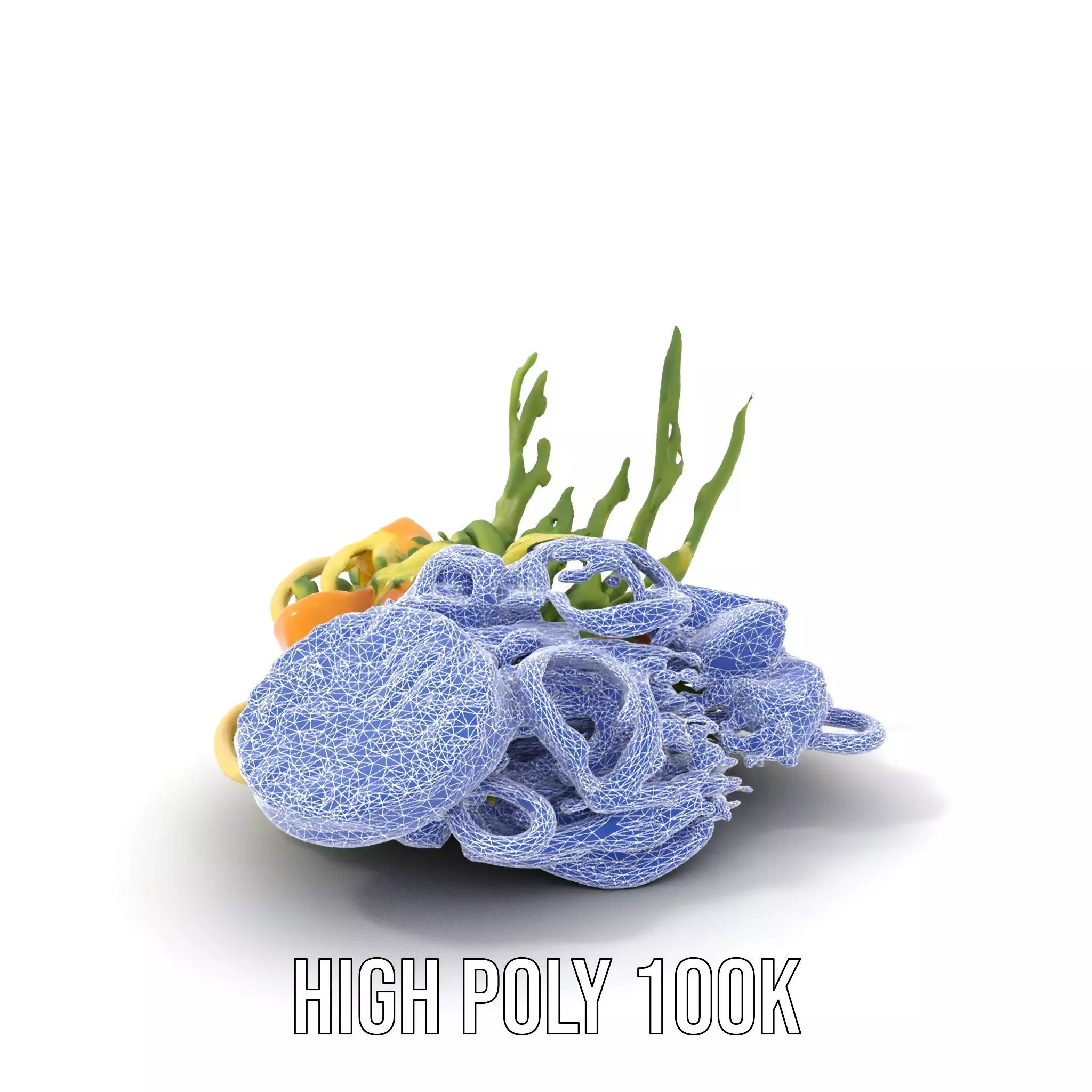 Citrus Salad Plate model pack Low-poly 3D model_21