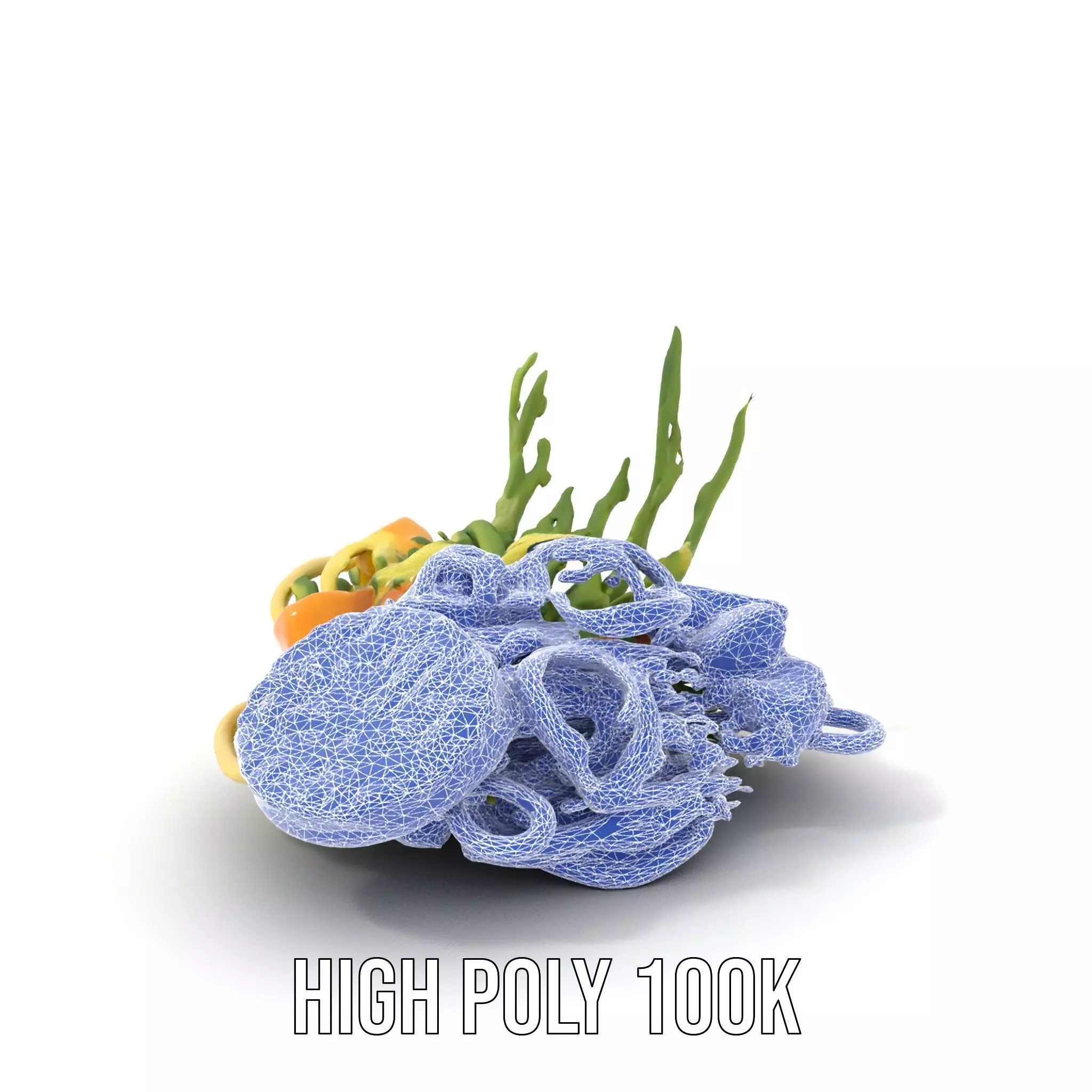 Citrus Salad Plate model pack Low-poly 3D model_7