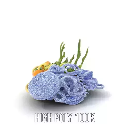 Citrus Salad Plate model pack Low-poly 3D model 7