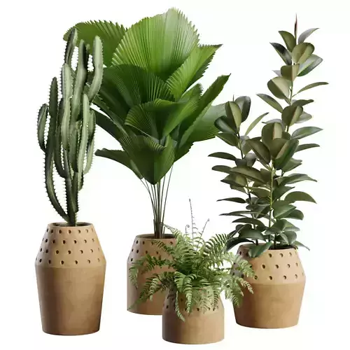 Indoor Plants Pack 99