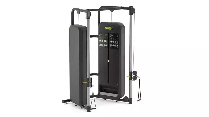 Technogym Dual Adjustable Pulley Fitness