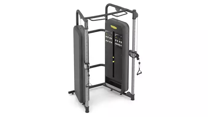 Technogym Dual Adjustable Pulley Performance 3D model