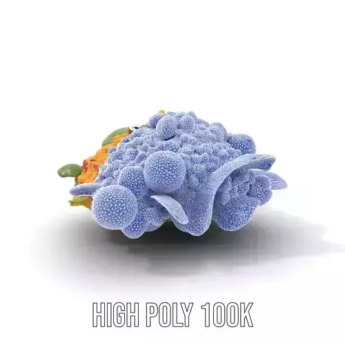 Vibrant Bulgur Salad model pack Low-poly 3D model 4