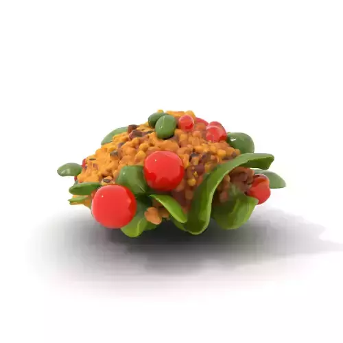 Vibrant Bulgur Salad model pack Low-poly 3D model 6