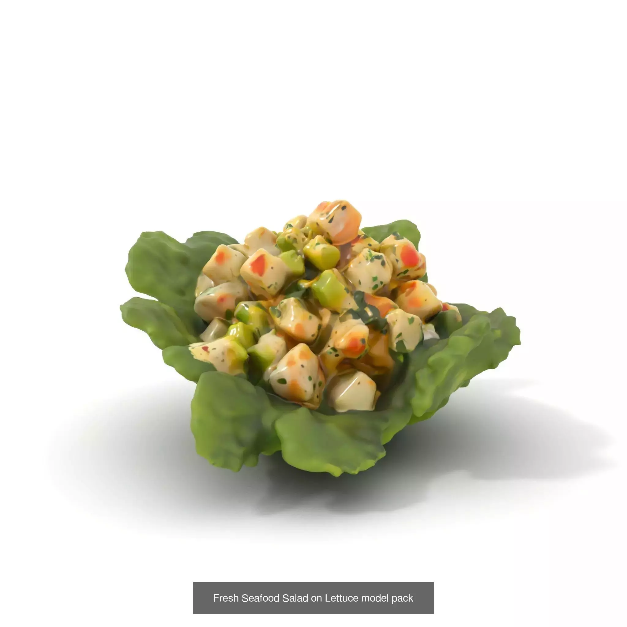 Gourmet Salad 3D Models Pack 3D Model Collection_42