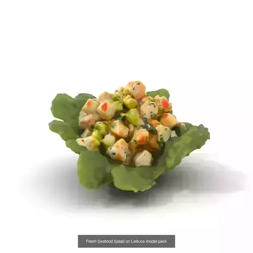 Gourmet Salad 3D Models Pack 5