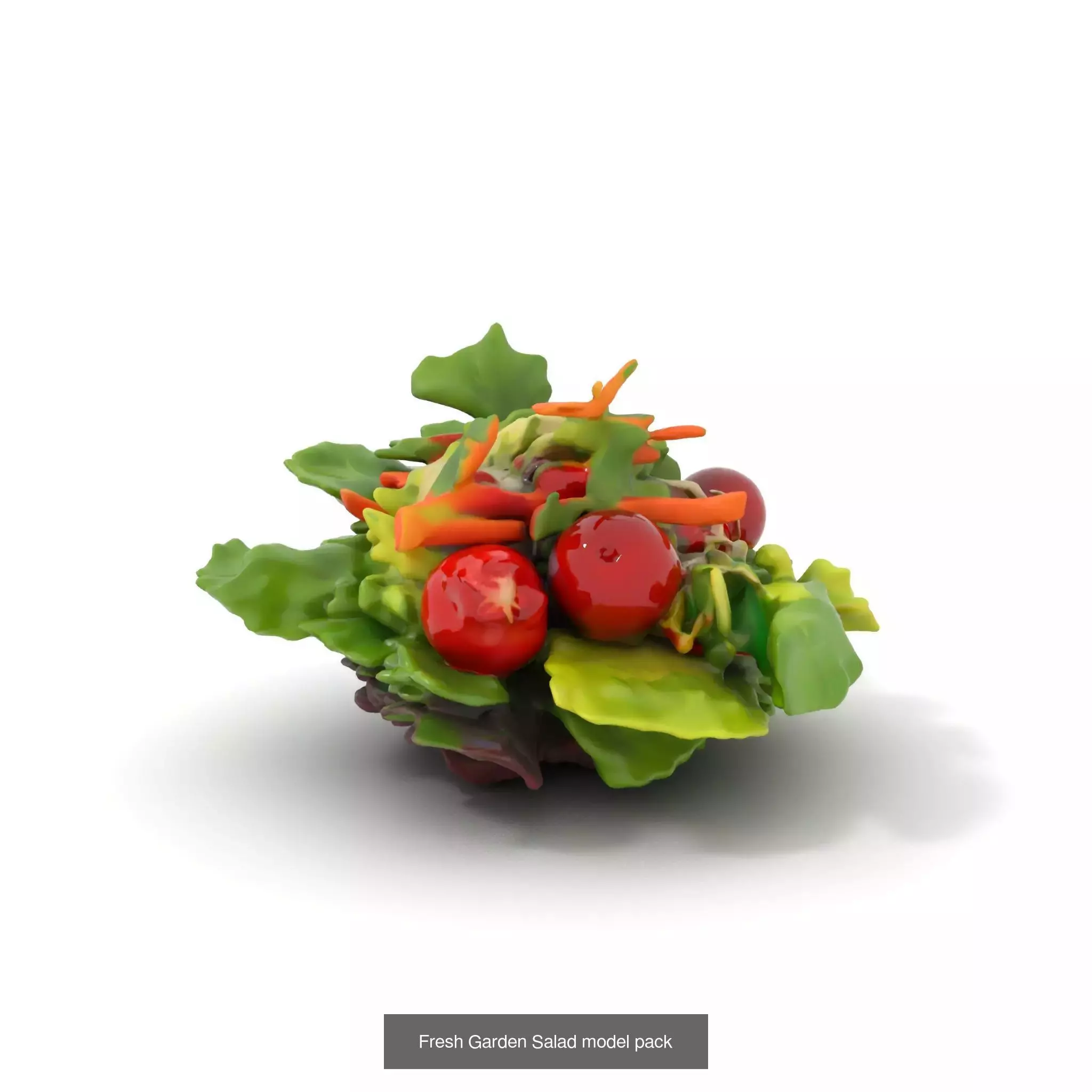 Gourmet Salad 3D Models Pack 3D Model Collection_65
