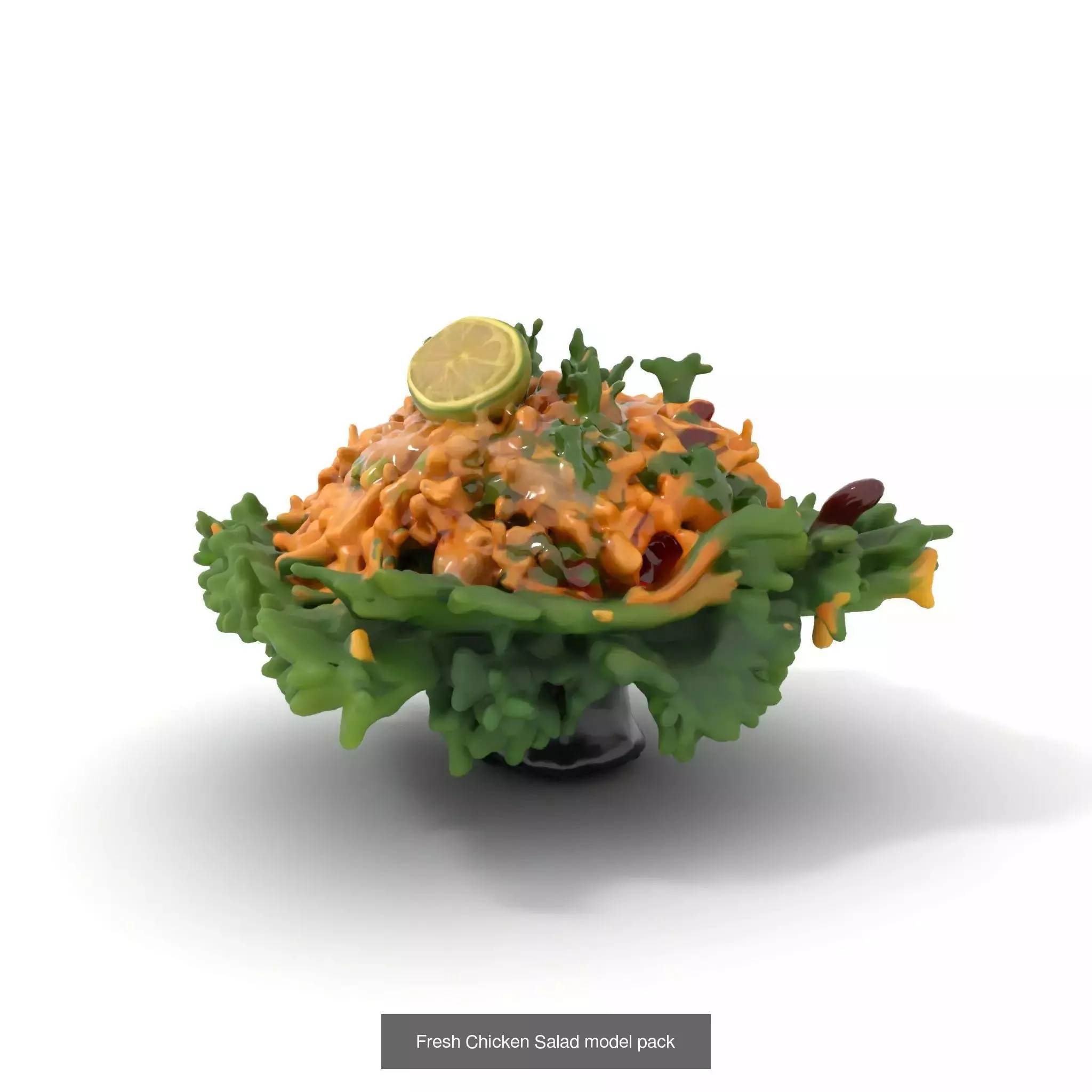 Gourmet Salad 3D Models Pack 3D Model Collection_60