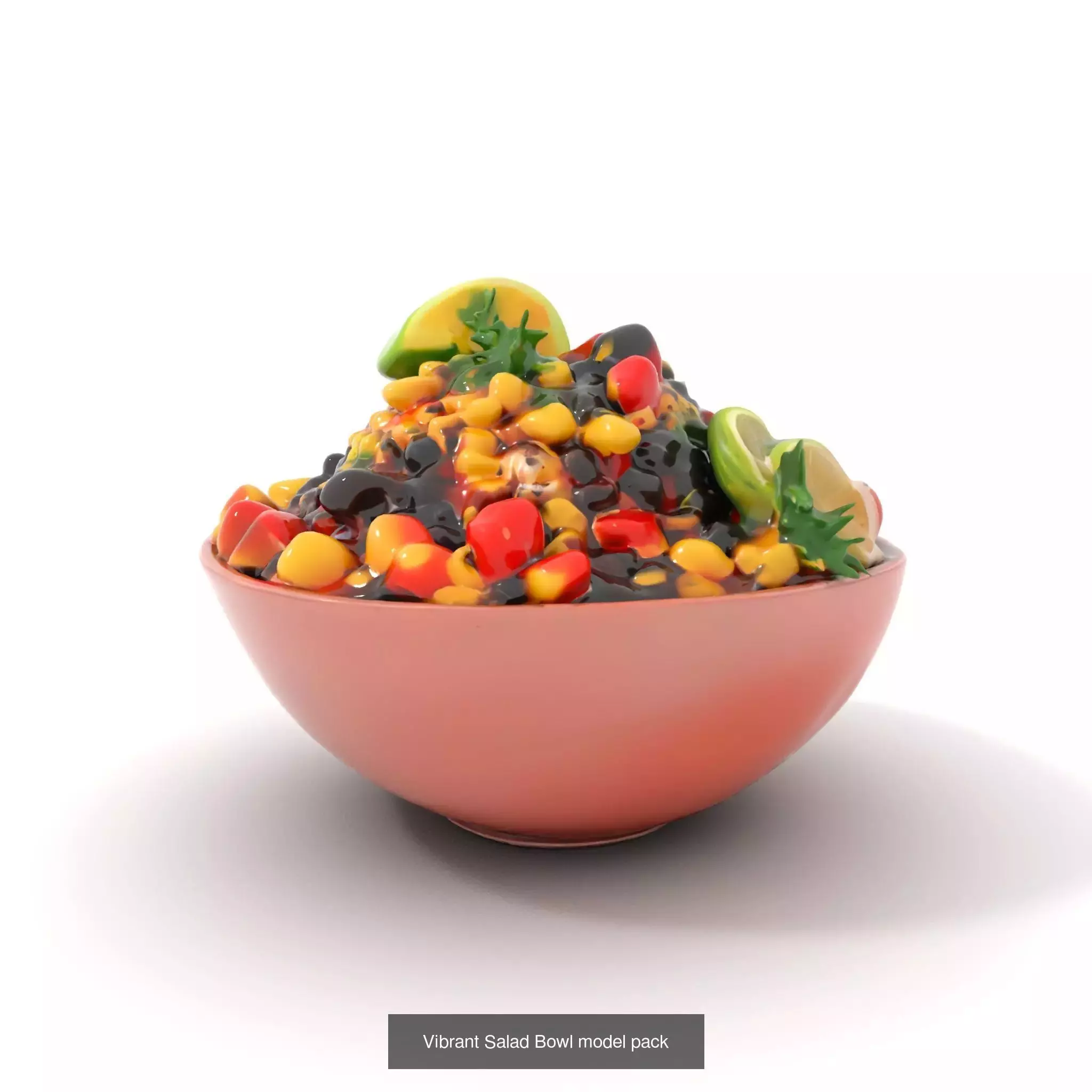 Gourmet Salad 3D Models Pack 3D Model Collection_63
