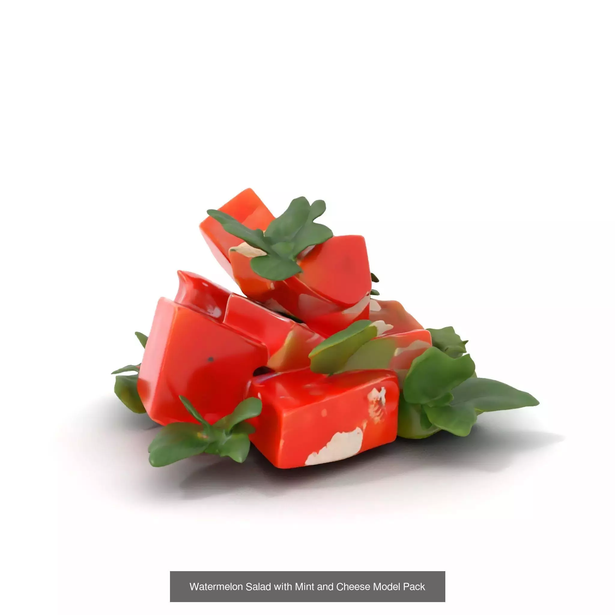 Gourmet Salad 3D Models Pack 3D Model Collection_46