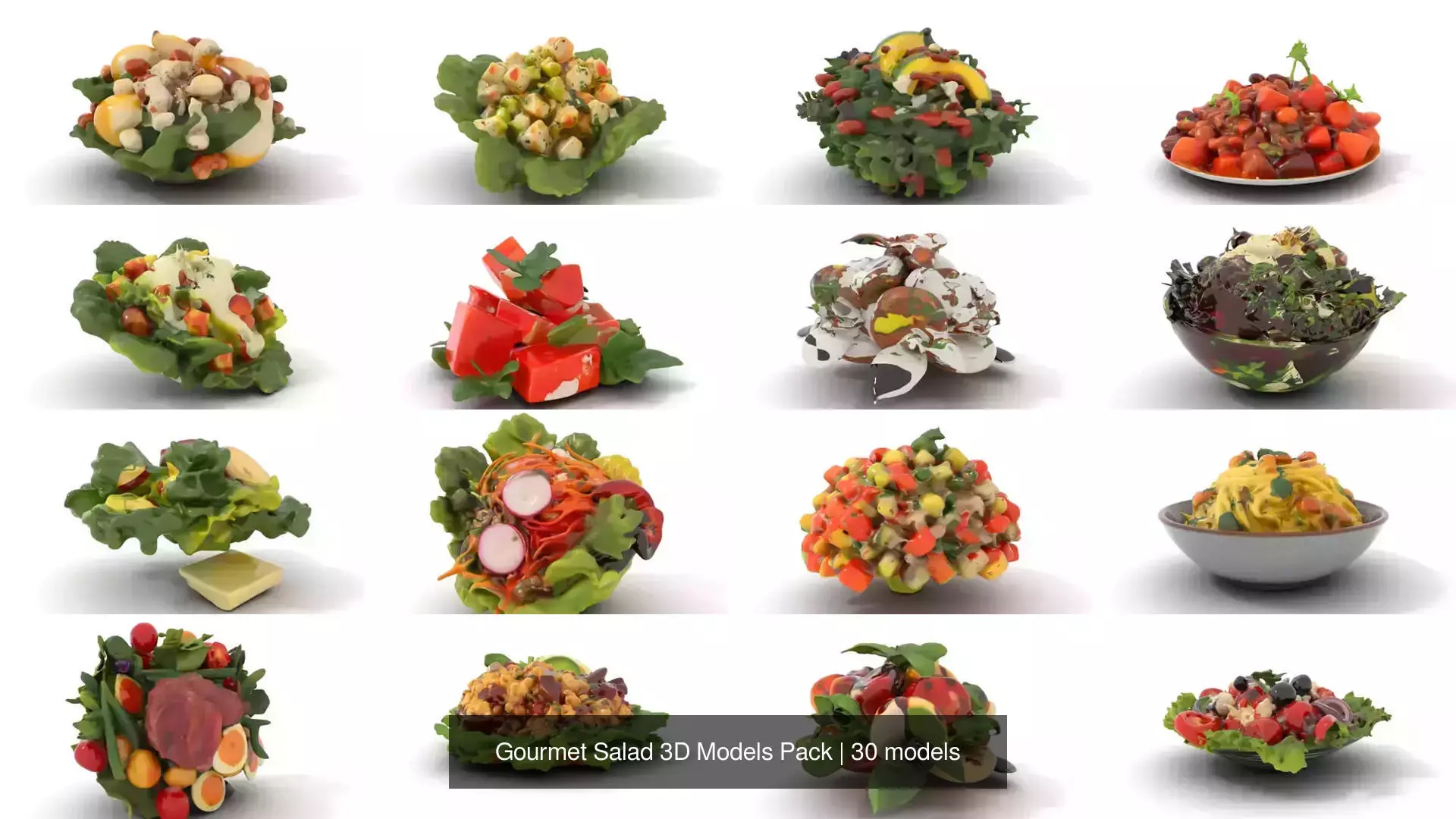 Gourmet Salad 3D Models Pack 3D Model Collection_0