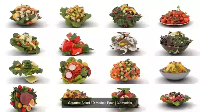 Gourmet Salad 3D Models Pack 3D Model Collection
