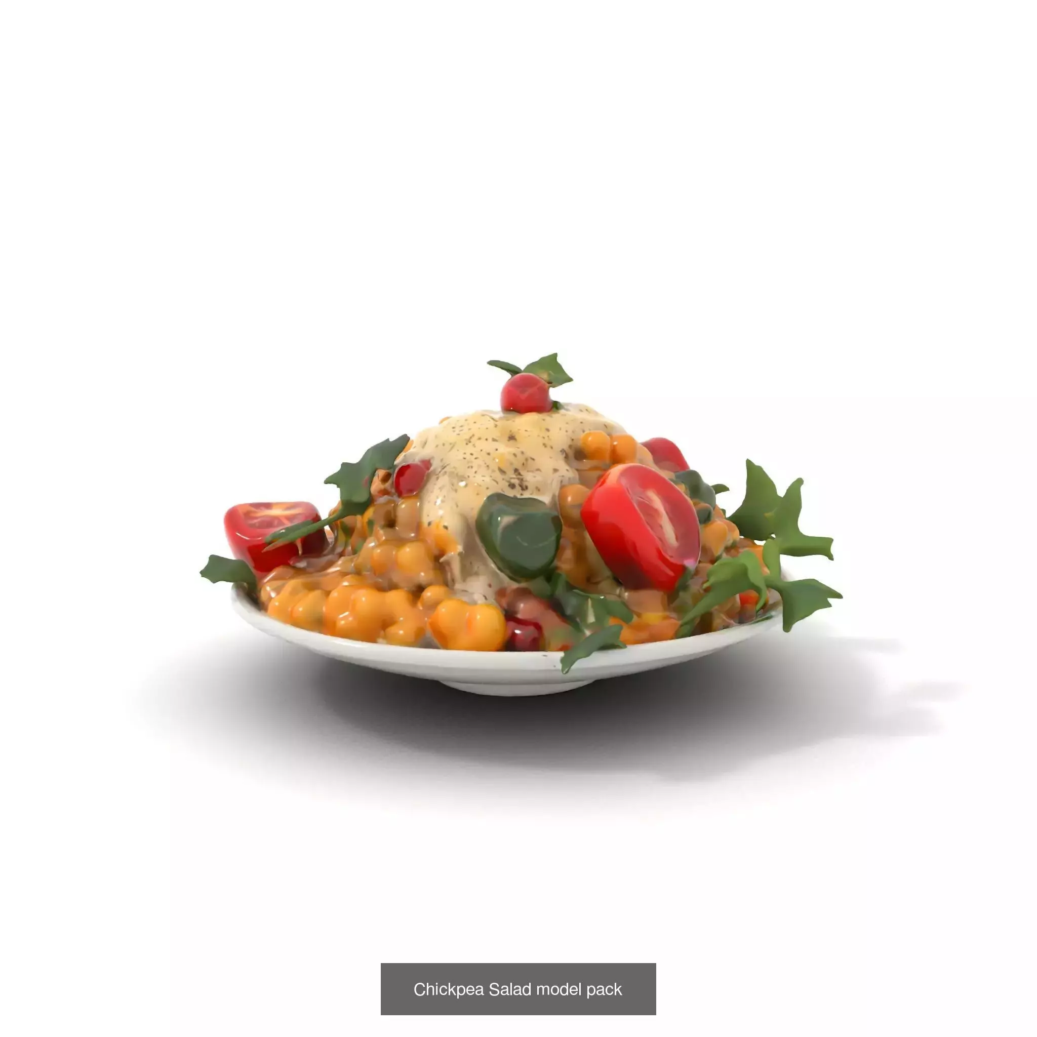 Gourmet Salad 3D Models Pack 3D Model Collection_59