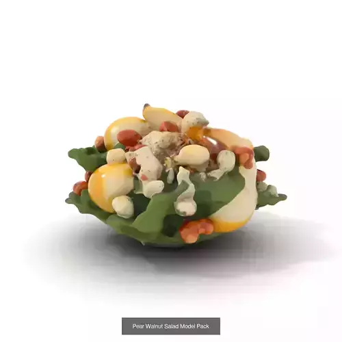 Gourmet Salad 3D Models Pack 4
