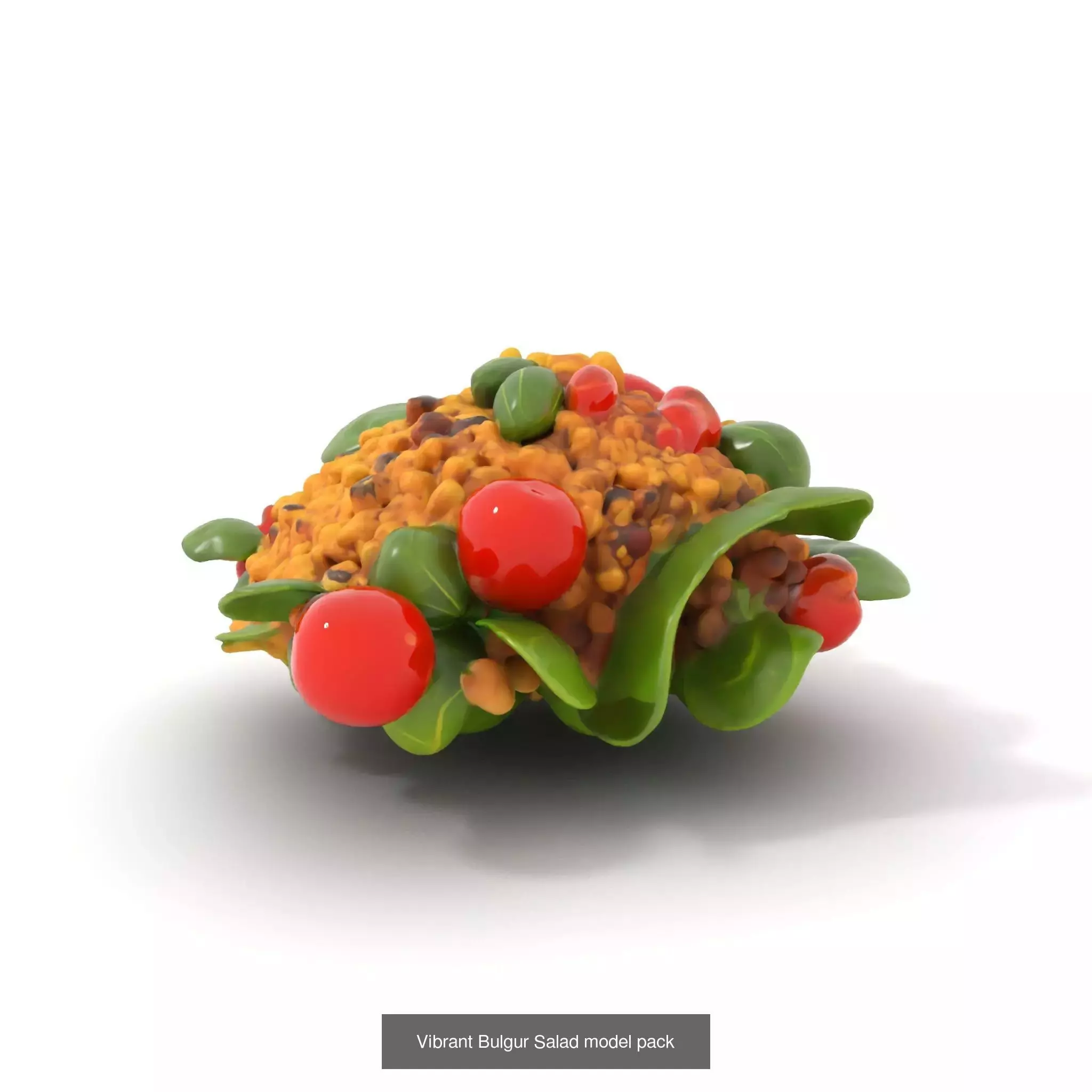 Gourmet Salad 3D Models Pack 3D Model Collection_70