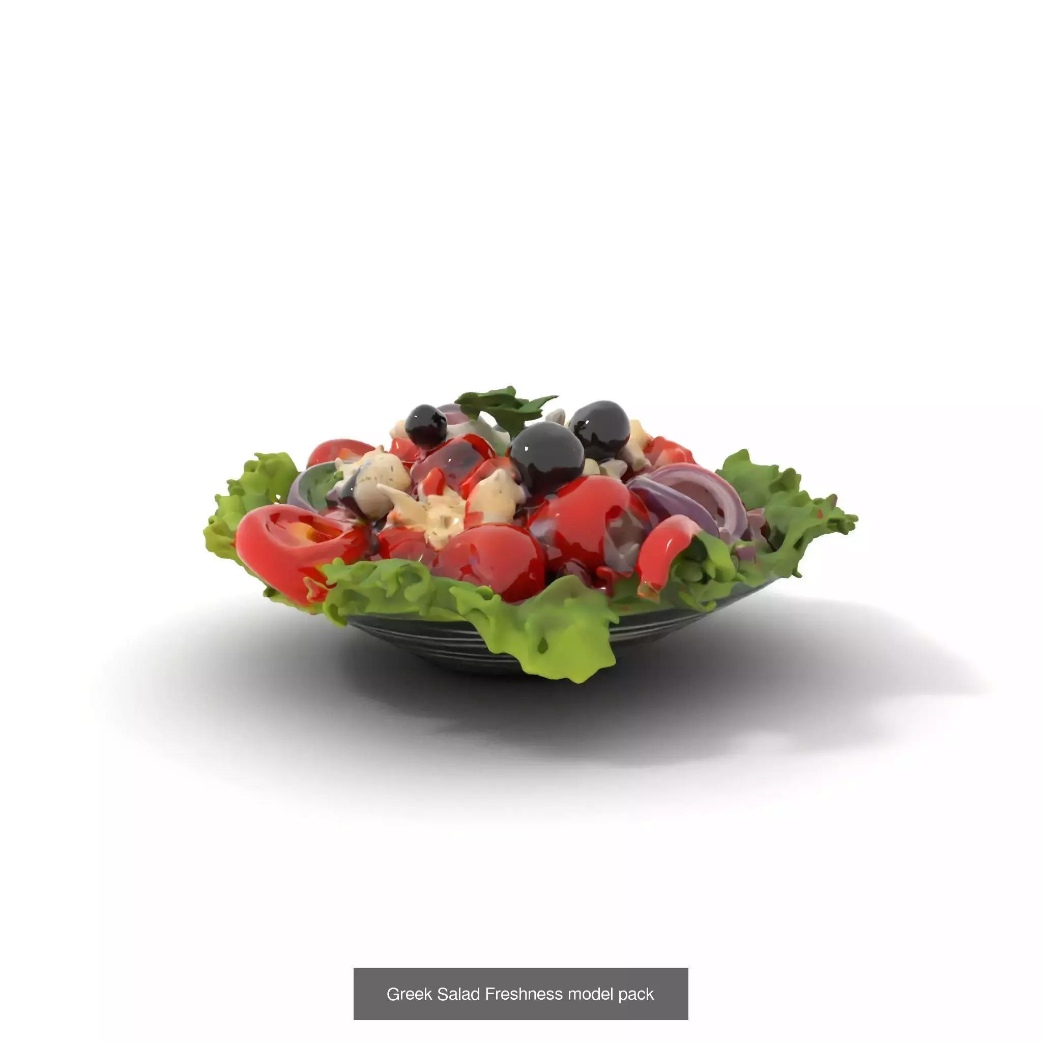 Gourmet Salad 3D Models Pack 3D Model Collection_56