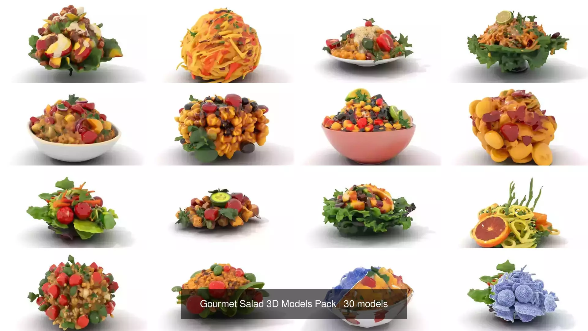 Gourmet Salad 3D Models Pack 3D Model Collection_40