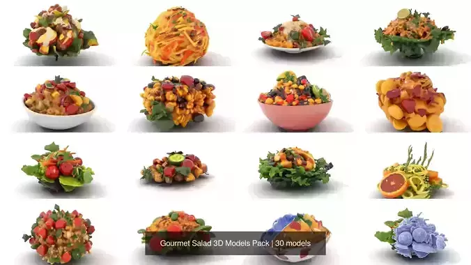 Gourmet Salad 3D Models Pack 3
