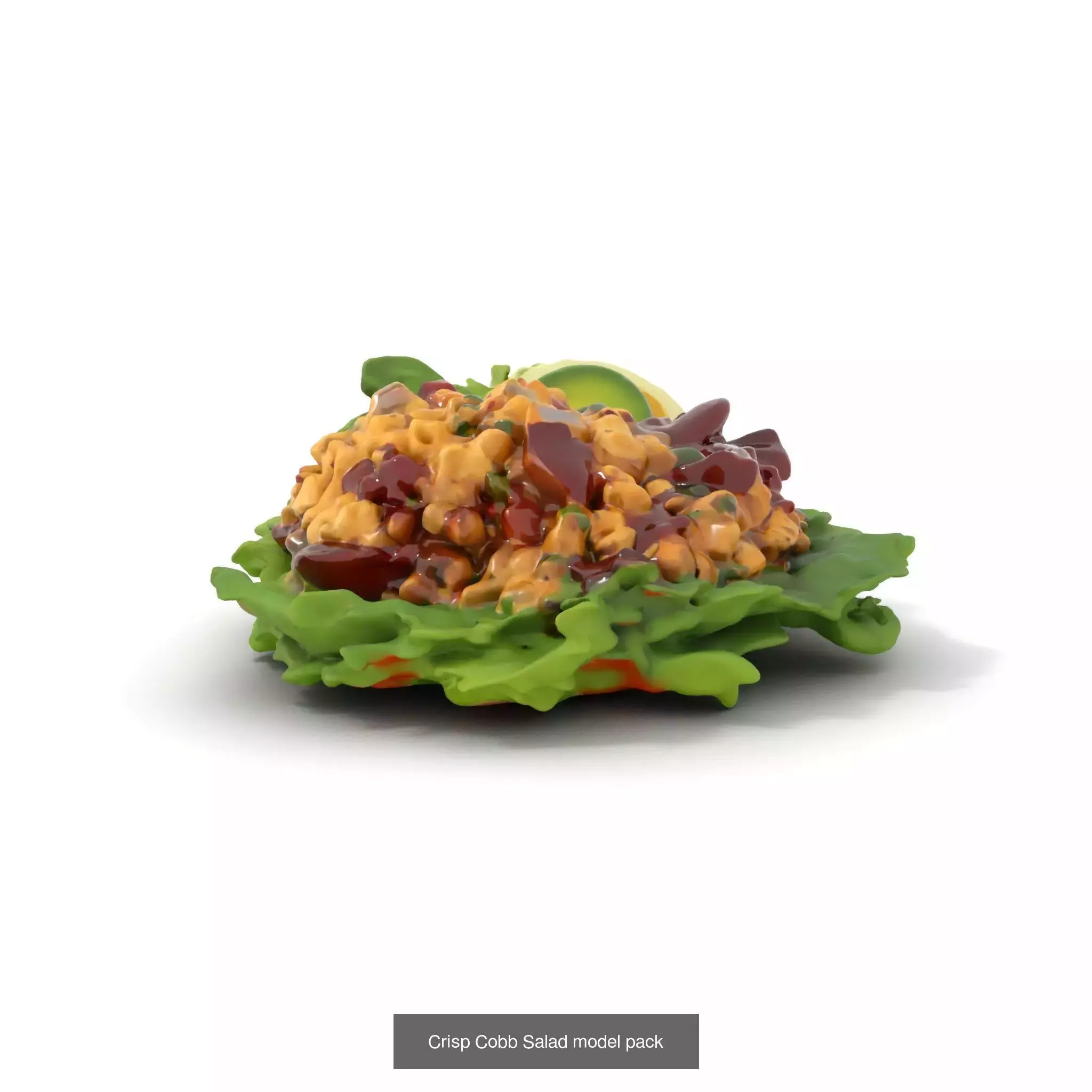 Gourmet Salad 3D Models Pack 3D Model Collection_54