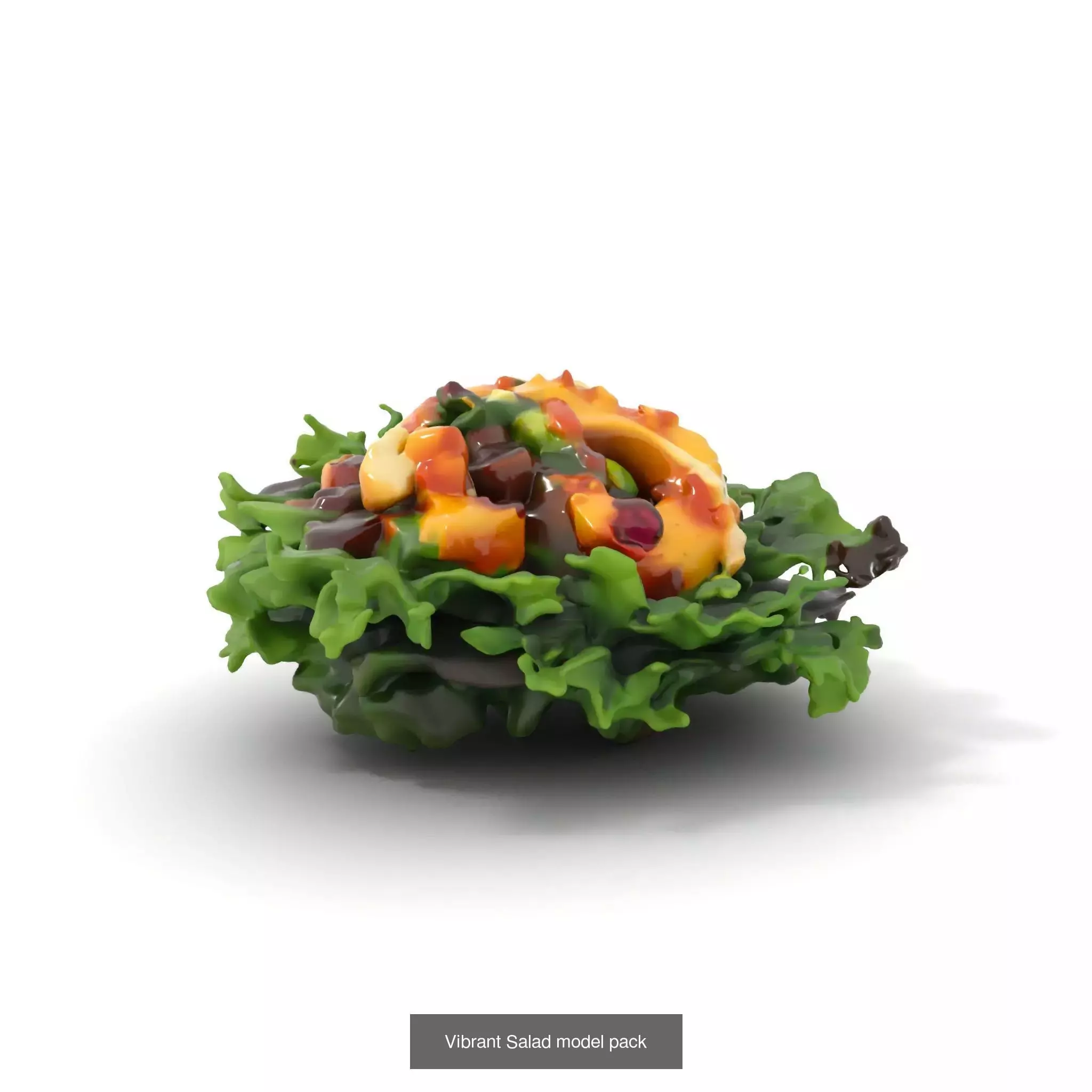 Gourmet Salad 3D Models Pack 3D Model Collection_67