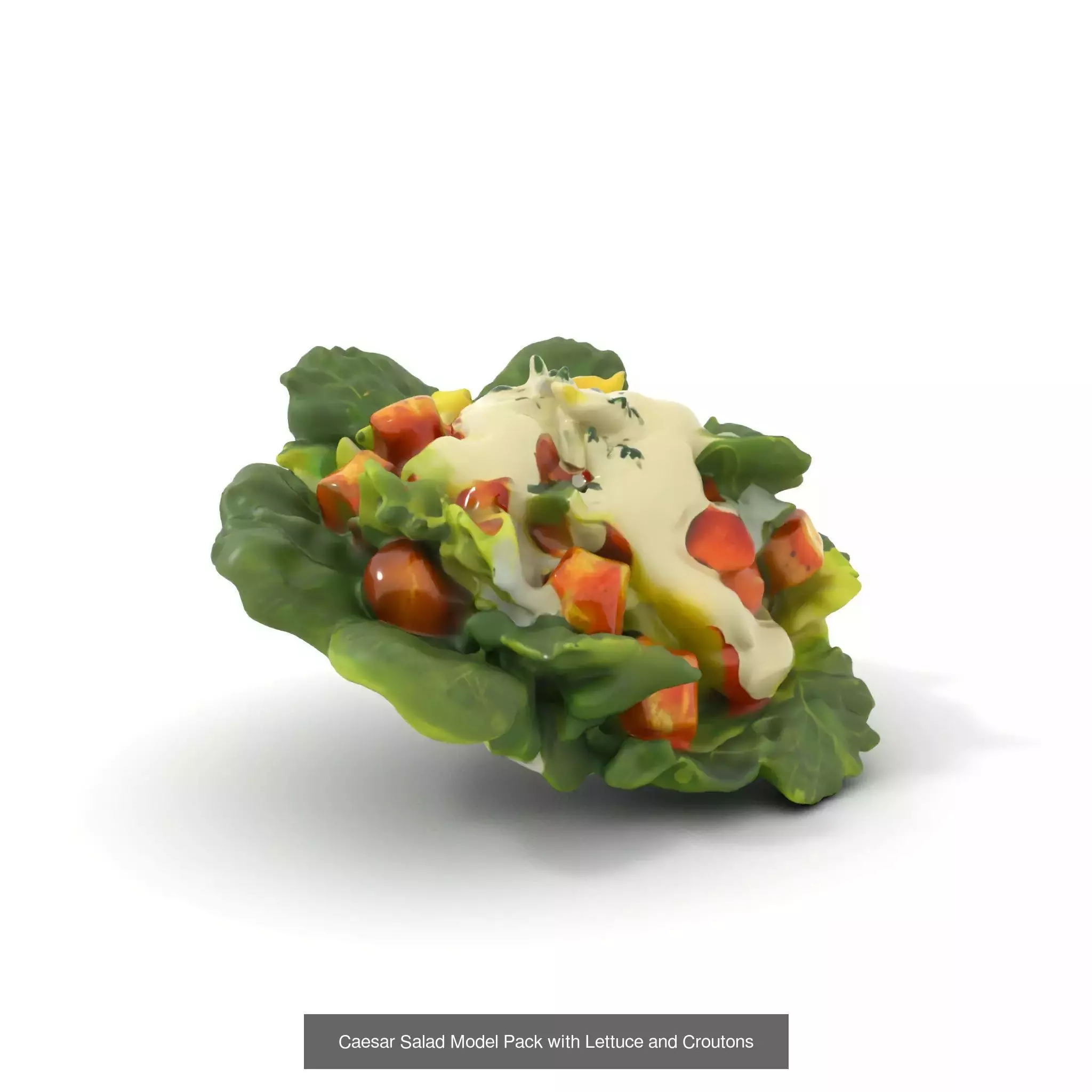 Gourmet Salad 3D Models Pack 3D Model Collection_45
