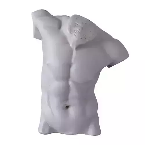 Male Torso Sculpture