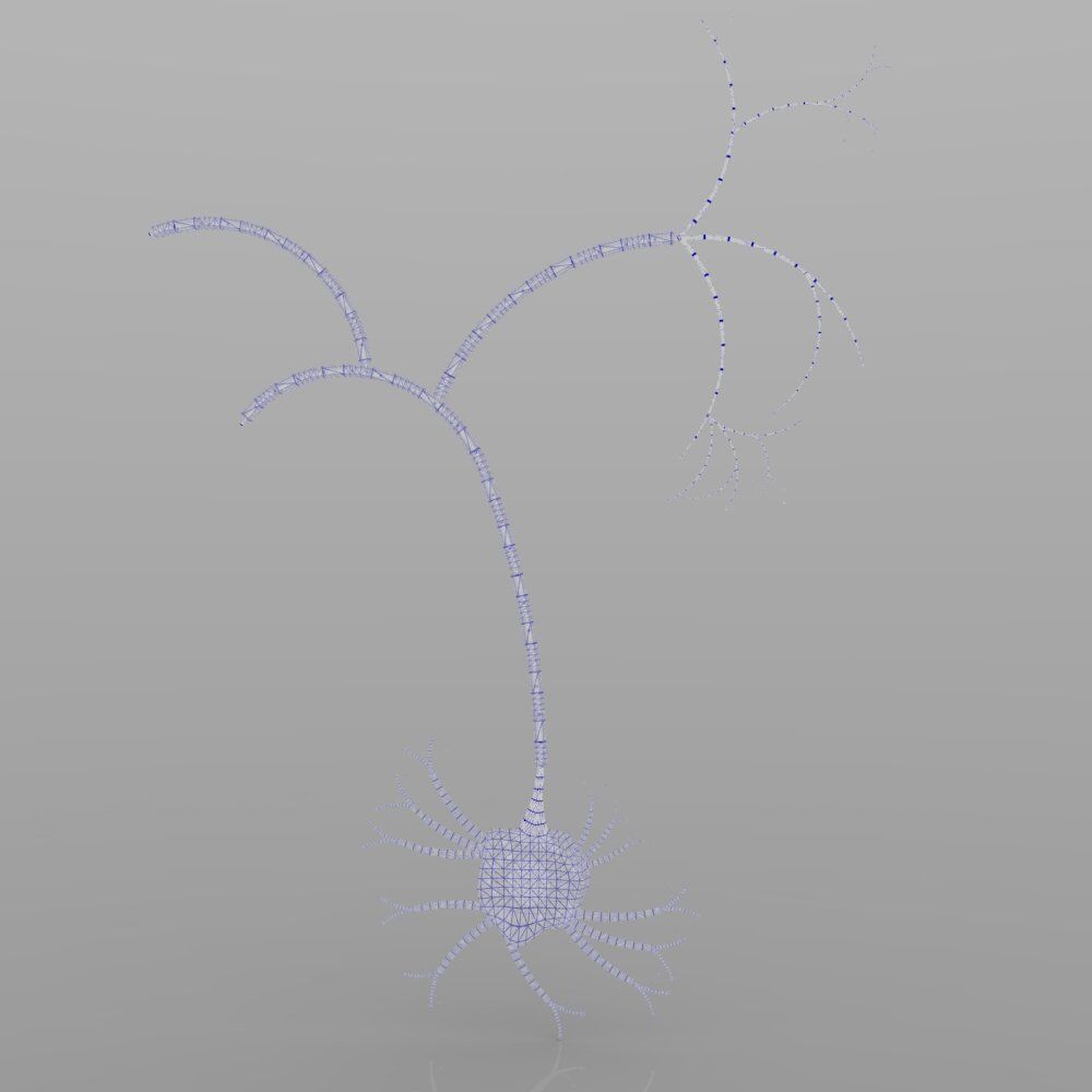 Nerve Cells 3D model_1