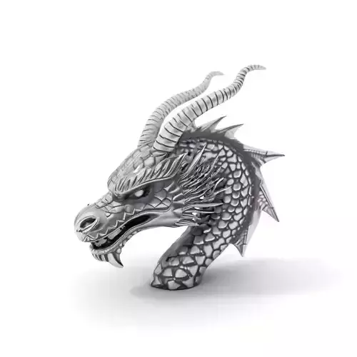 Silver Dragon Head model pack