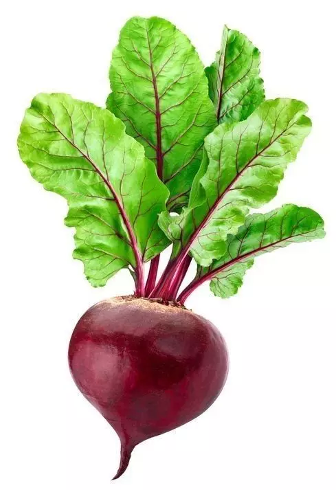 Ultra-Realistic Beetroot 3D Model Red Root with Green Leaves Low-poly 3D model_0