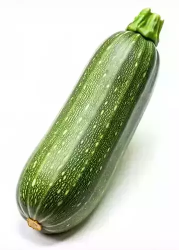 Ultra-Realistic Zucchini 3D Model Fresh Green Courgette Low-poly 3D model